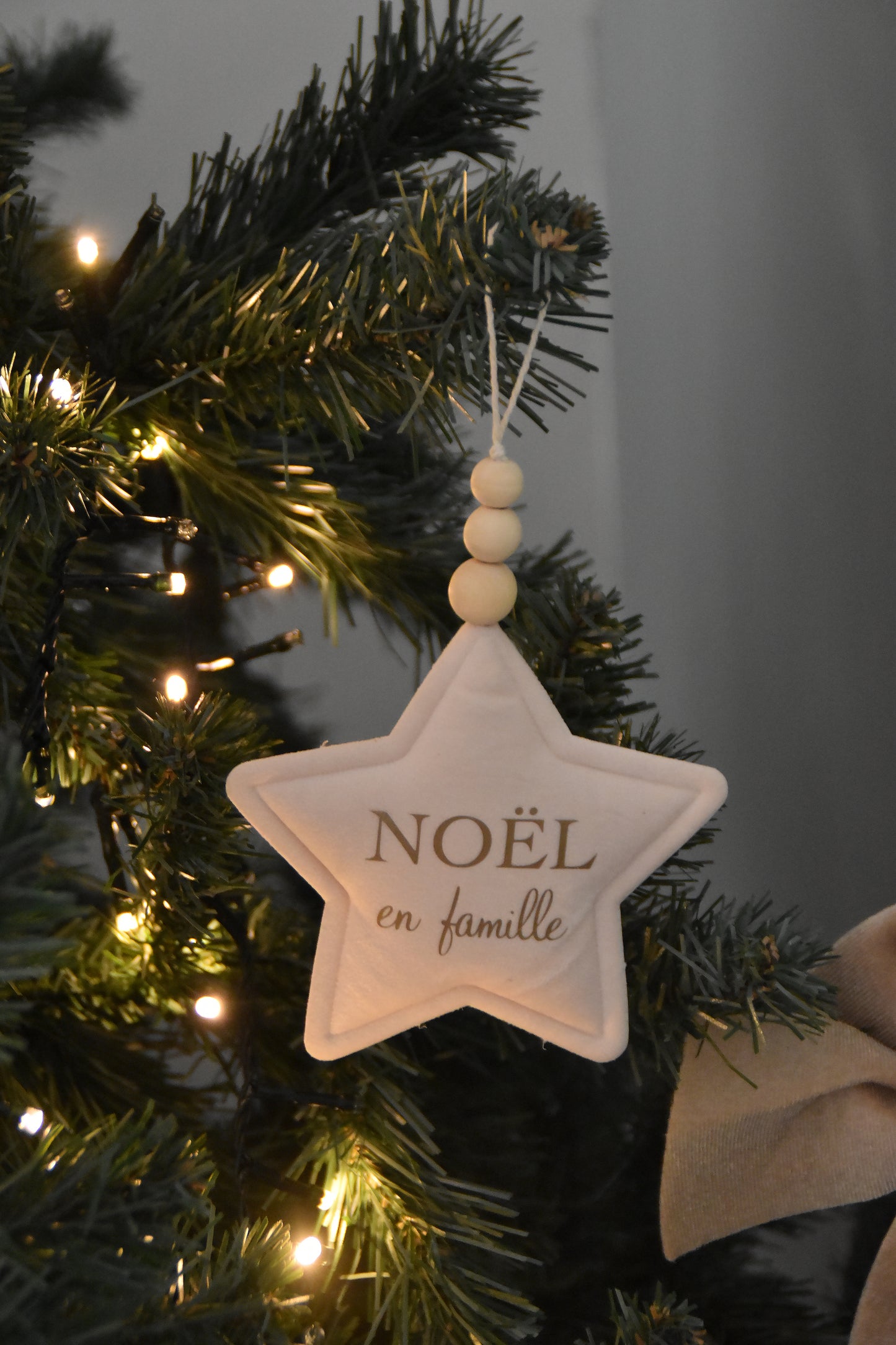 Etoiles "Noël en famille"